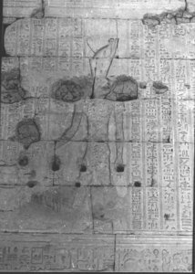 Photo »798« of the Edfu-Project.