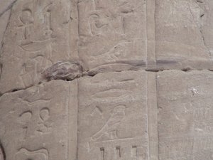 Photo »D05_5121« of the Edfu-Project.