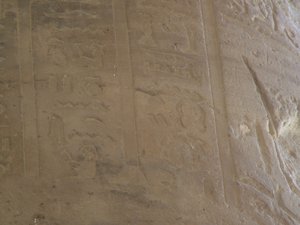 Photo »D05_7307« of the Edfu-Project.