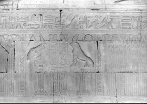Photo »633« aus dem Edfu-Projekt.