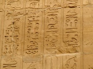 Photo »D05_2094« aus dem Edfu-Projekt.