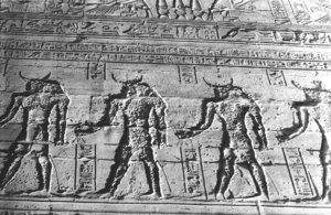 Photo »1131« aus dem Edfu-Projekt.