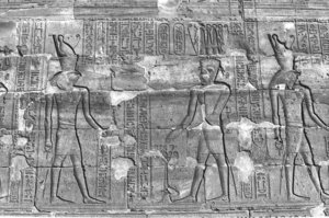Photo »271« aus dem Edfu-Projekt.