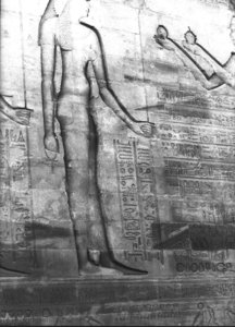 Photo »2909« aus dem Edfu-Projekt.
