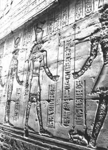 Photo »2961« aus dem Edfu-Projekt.