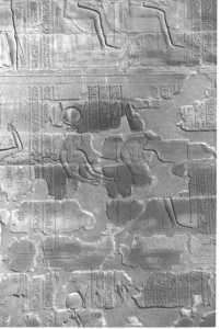 Photo »4182« aus dem Edfu-Projekt.
