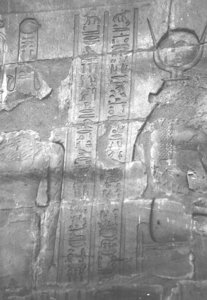Photo »4238« aus dem Edfu-Projekt.