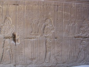 Photo »D03_1364« aus dem Edfu-Projekt.