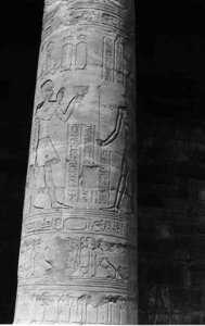 Photo »1631« of the Edfu-Project.