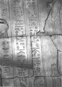 Photo »4167« aus dem Edfu-Projekt.