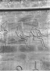 Photo »4328« aus dem Edfu-Projekt.
