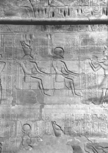 Photo »4369« aus dem Edfu-Projekt.