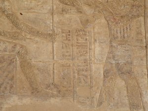 Photo »D05_5357« of the Edfu-Project.