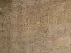Photo »D05_5376« of the Edfu-Project.