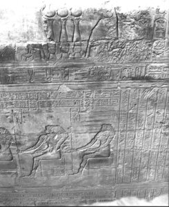 Photo »3044« aus dem Edfu-Projekt.