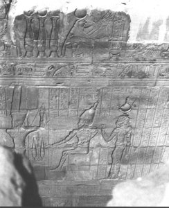 Photo »3058« aus dem Edfu-Projekt.