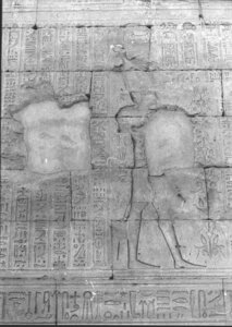 Photo »815« of the Edfu-Project.