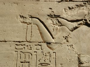 Photo »D03_0548« aus dem Edfu-Projekt.