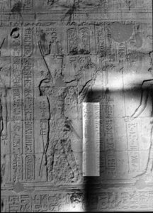 Photo »2214« aus dem Edfu-Projekt.