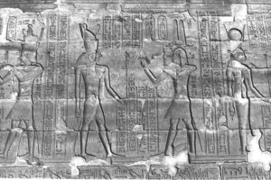 Photo »278« aus dem Edfu-Projekt.