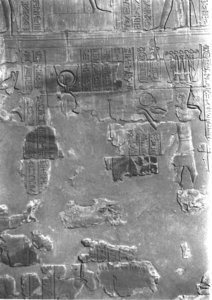 Photo »4058« aus dem Edfu-Projekt.