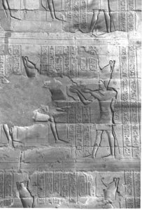 Photo »4140« aus dem Edfu-Projekt.