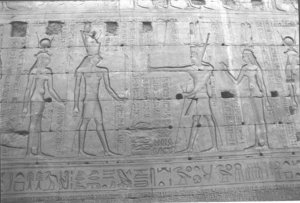 Photo »1487« aus dem Edfu-Projekt.