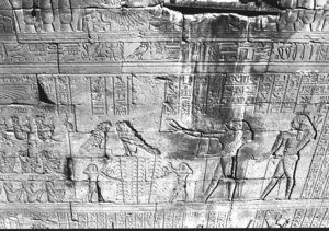 Photo »3012« aus dem Edfu-Projekt.