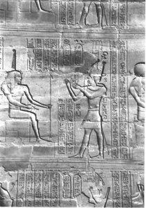 Photo »4025« aus dem Edfu-Projekt.