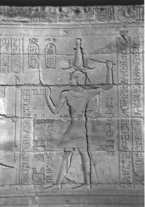 Photo »4325« aus dem Edfu-Projekt.