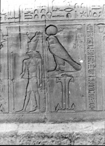 Photo »2037« aus dem Edfu-Projekt.