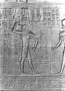 Photo »2794« aus dem Edfu-Projekt.