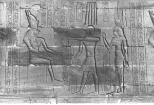 Photo »339« aus dem Edfu-Projekt.