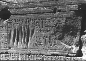 Photo »491« of the Edfu-Project.