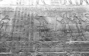 Photo »1416« aus dem Edfu-Projekt.