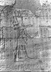 Photo »2805« aus dem Edfu-Projekt.