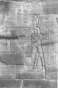Photo »4087« aus dem Edfu-Projekt.