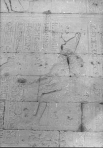 Photo »861« of the Edfu-Project.