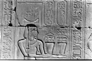 Photo »9« of the Edfu-Project.