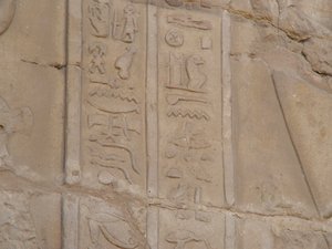 Photo »D05_6631« of the Edfu-Project.