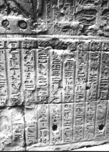 Photo »2944« aus dem Edfu-Projekt.