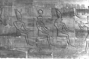 Photo »355« aus dem Edfu-Projekt.