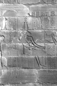 Photo »4079« aus dem Edfu-Projekt.