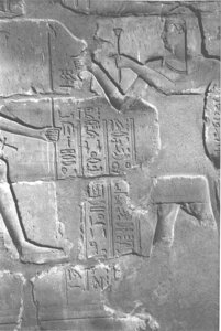 Photo »4192« aus dem Edfu-Projekt.