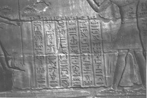 Photo »4277« aus dem Edfu-Projekt.