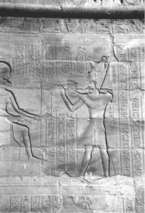Photo »4368« aus dem Edfu-Projekt.