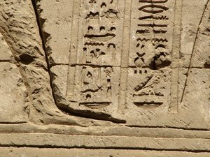 Photo »D05_1439« aus dem Edfu-Projekt.