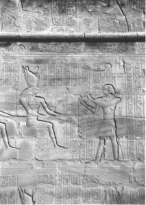 Photo »4381« aus dem Edfu-Projekt.