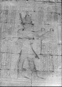 Photo »891« aus dem Edfu-Projekt.