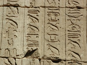 Photo »D03_0588« aus dem Edfu-Projekt.